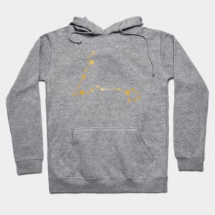 Pisces Zodiac Constellation in Gold Hoodie